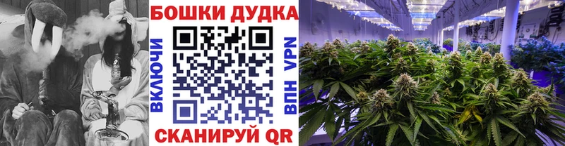 магазин    Великий Устюг  Каннабис сатива 